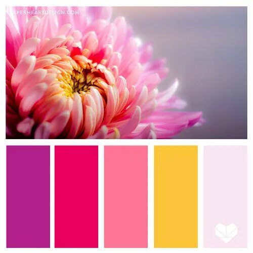Палетка цветов в интерьере Color palette by Paleutr Rustic bedroom colors, Bedroom color schemes, Bedroom c