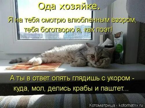 Что то здесь не так картинки. Что ответить на опять. Что ответить на опять. Что ответить на опять. Куда дела деньги.
