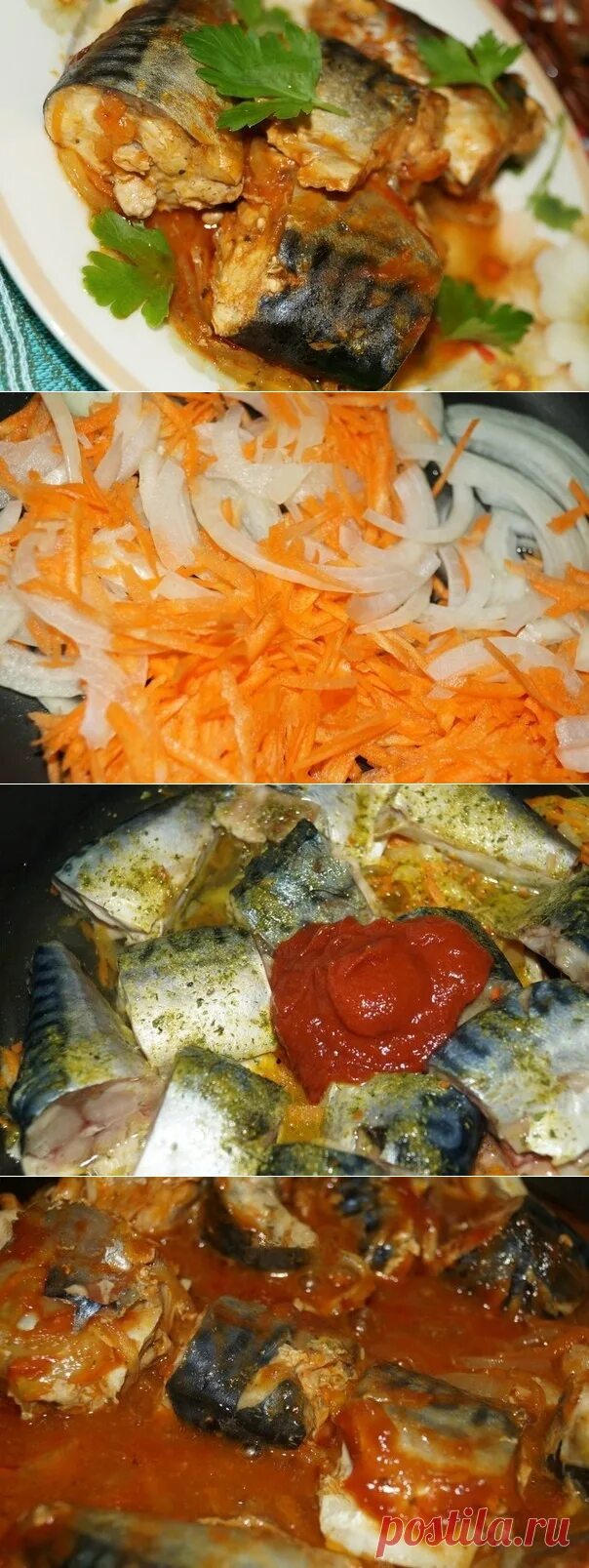 Скумбрия тушеная. Скумбрия с морковью. Скумбрия тушеная с морковью луком. Скумбрия тушеная с морковью и луком. Скумбрия в духовке с морковью и луком.