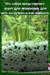 Какой грунт для аквариума