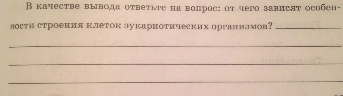 Сделайте вывод в выводе ответьте на вопросы. Сделайте вывод в выводе ответьте на вопросы