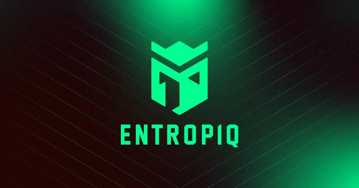 Entropiq наклейки. Entropiq. Entropiq. Энтропик кс. Entropiq logo.