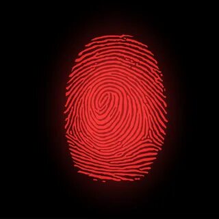 Fingerprint js