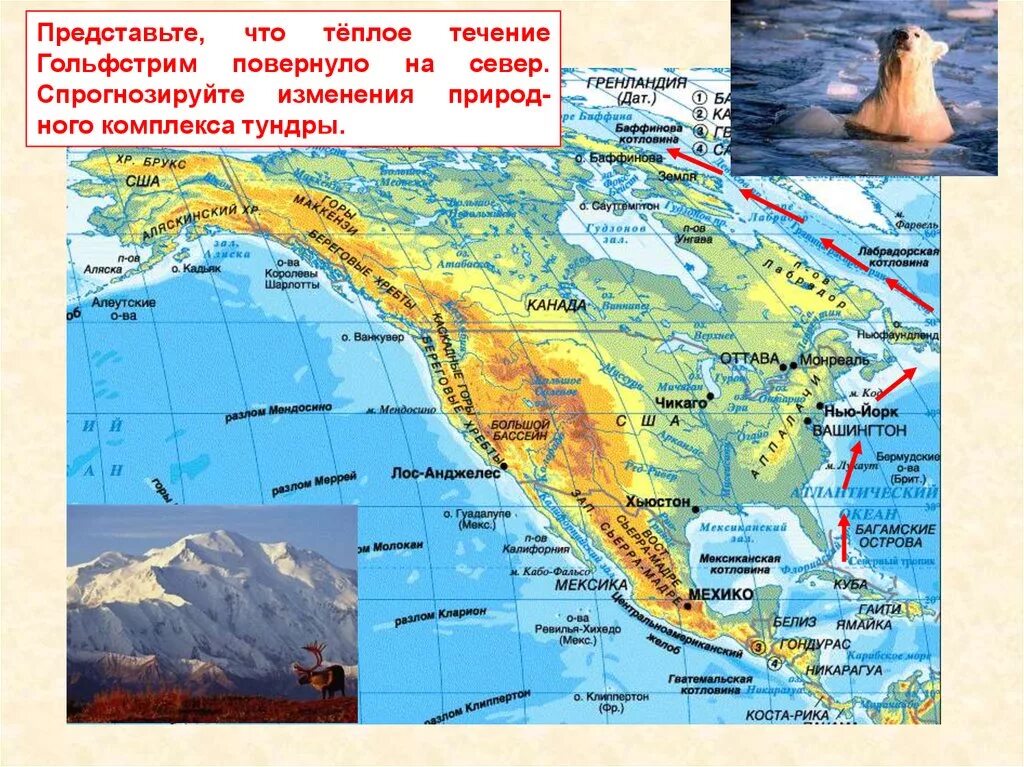 Все острова северной америки. Ревилья Хихедо острова на карте Северной Америки. Алеутский хребет на карте Северной Америки. Течения Северной Америки. Алеутский хребет на карте.