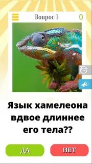 Ответы на викторину 2024
