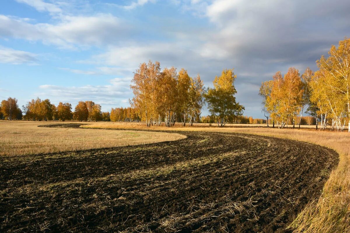 Русское вспаханное поле