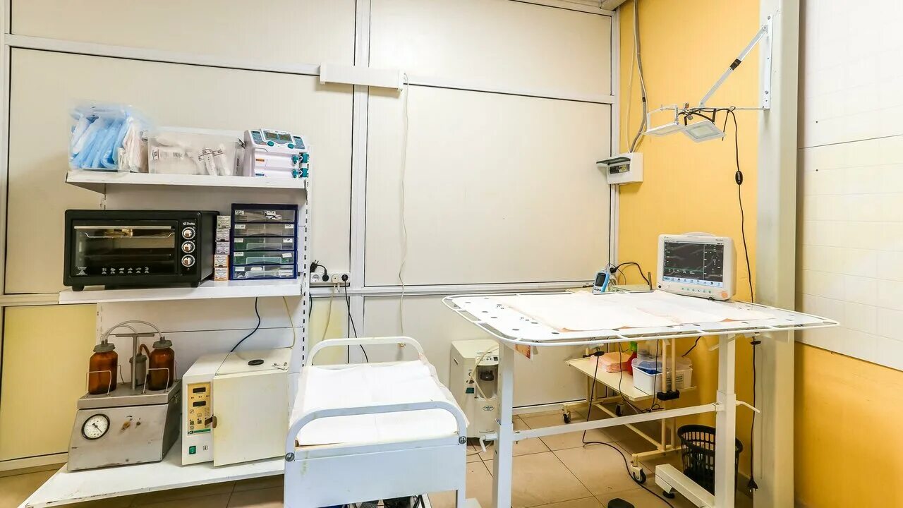 доктор пух долгопрудный. доктор пух ижевск ветеринарная клиника. доктор пух. доктор пух голицыно. ветклиника пух в голицыно.