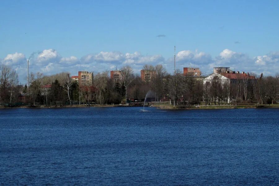 сестрорецк герб города. почтовое отделение пос солнечное. 303 сестрорецк. 303 сестрорецк. активисты сестрорецка.