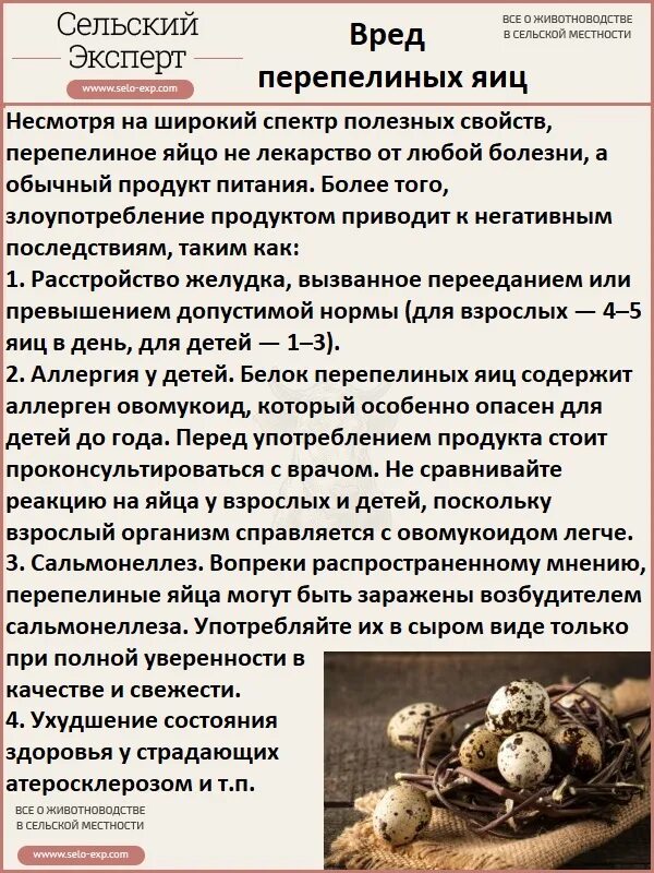 Можно ли есть сырые перепелиные. Сколько можно перепелиных яиц в день. сколько можно есть перепелиных яиц. сколько можно перепелиных яиц в день ребенку. полезные свойства перепелиных яиц.