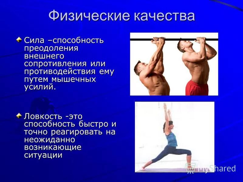 Что относится к физической силе