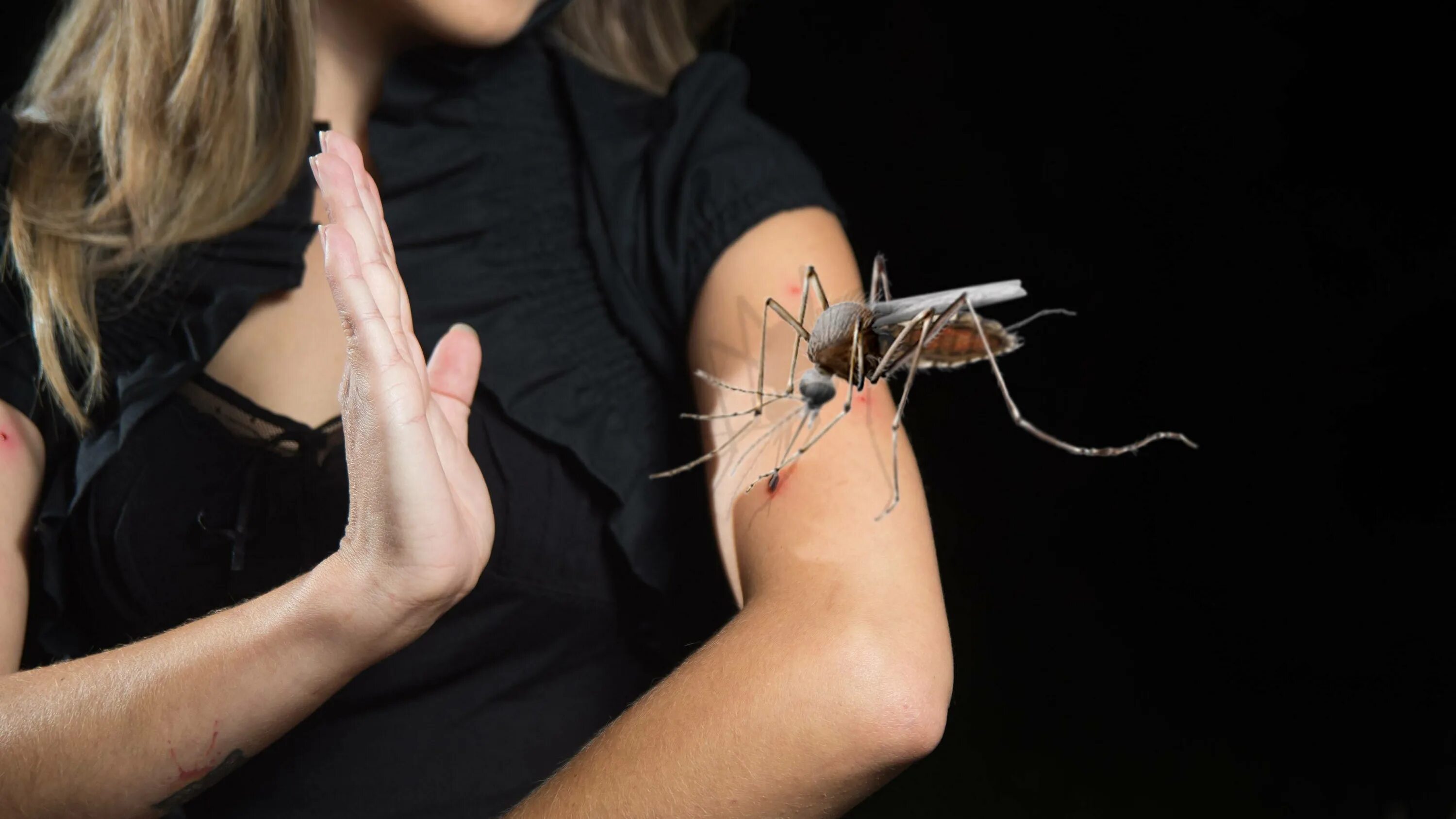 Малярийный комар кусается. Вампир элай сверхъестественное. Парень и девушка улыбаются. Супернатурал сериал зомби. Кусает человека ночью.
