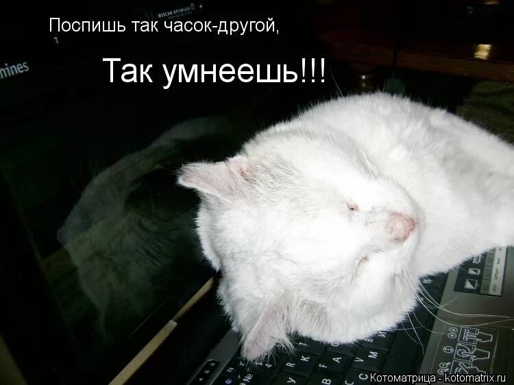 Посижу часок и выдам что нибудь. Прилег стоя полежать. Вот я и проснулась. Проснулся сам разбуди другого. Посижу часок и выдам что нибудь.