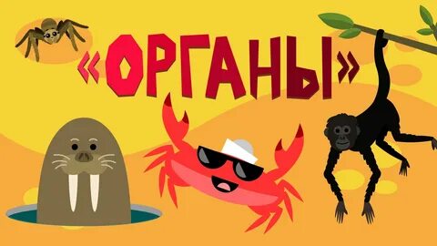 Зарядка для малышей крабик
