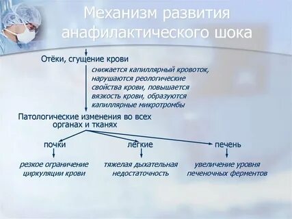 Механизм развития шока