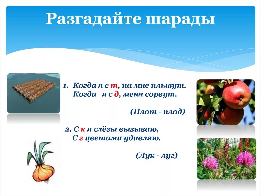 Плакат по биологии на тему плоды. Плод и плот. Плод и плот. Проект по теме плоды 6 класс. Плод и плот предложения.