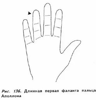 14 пальцев