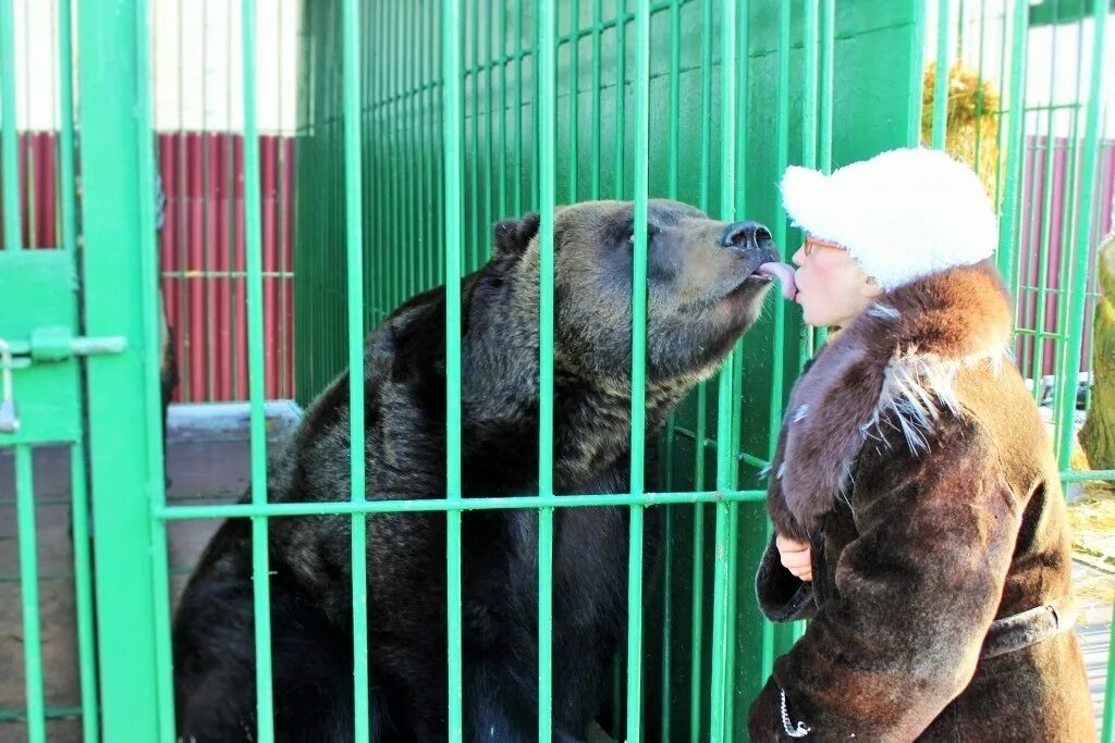 Ташкентский зоопарк. Зооботанический сад казань река замбези. Казань зоопарк зооботсад. Казанский зооботанический сад новый. Пермь леонова зоопарк.