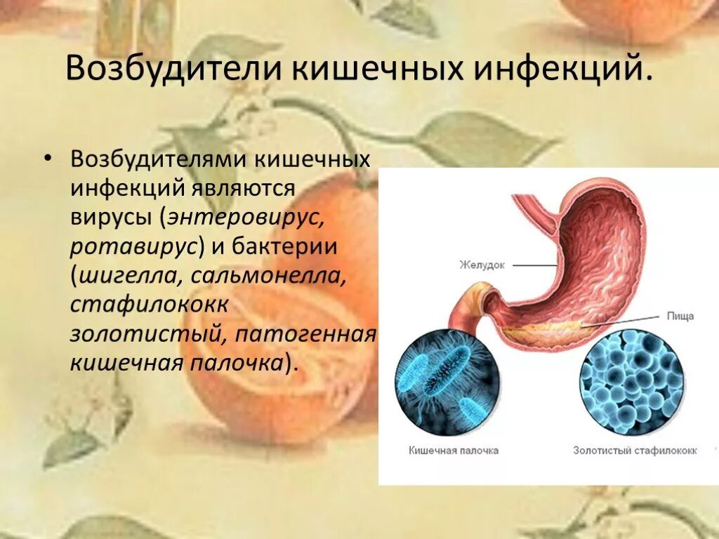 Инфекции кишечной группы заболевание. Возбудители кишечных инфекций. Возбудиткли кишечных инфекции. Кишечные заблеванияпрезентация. Вирусы возбудители кишечных инф.