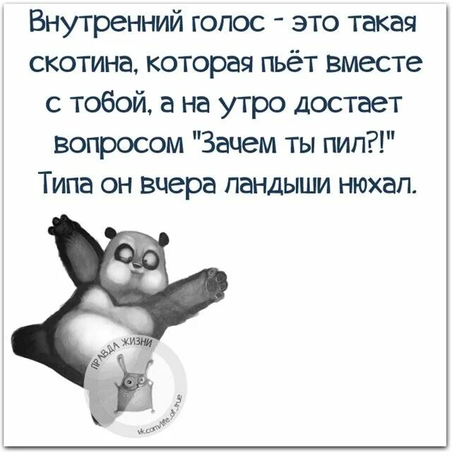 Как не чего не есть. Правда жизни в картинках прикольные юморные. работа дала мне многое раньше у меня не. правда жизни про работу. раньше у меня не было ничего.