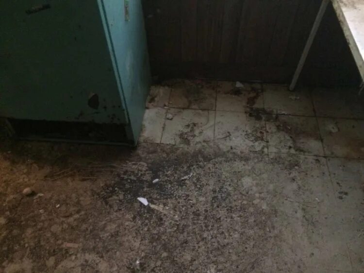 Прожил 25 лет в квартире. Прожил 25 лет в квартире. Уютный семейный вечер с детьми. Хрущевка коммуналка. Прожил 25 лет в квартире.