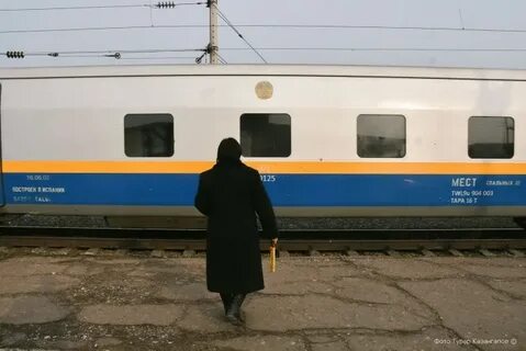 Новосибирск алматы поезд