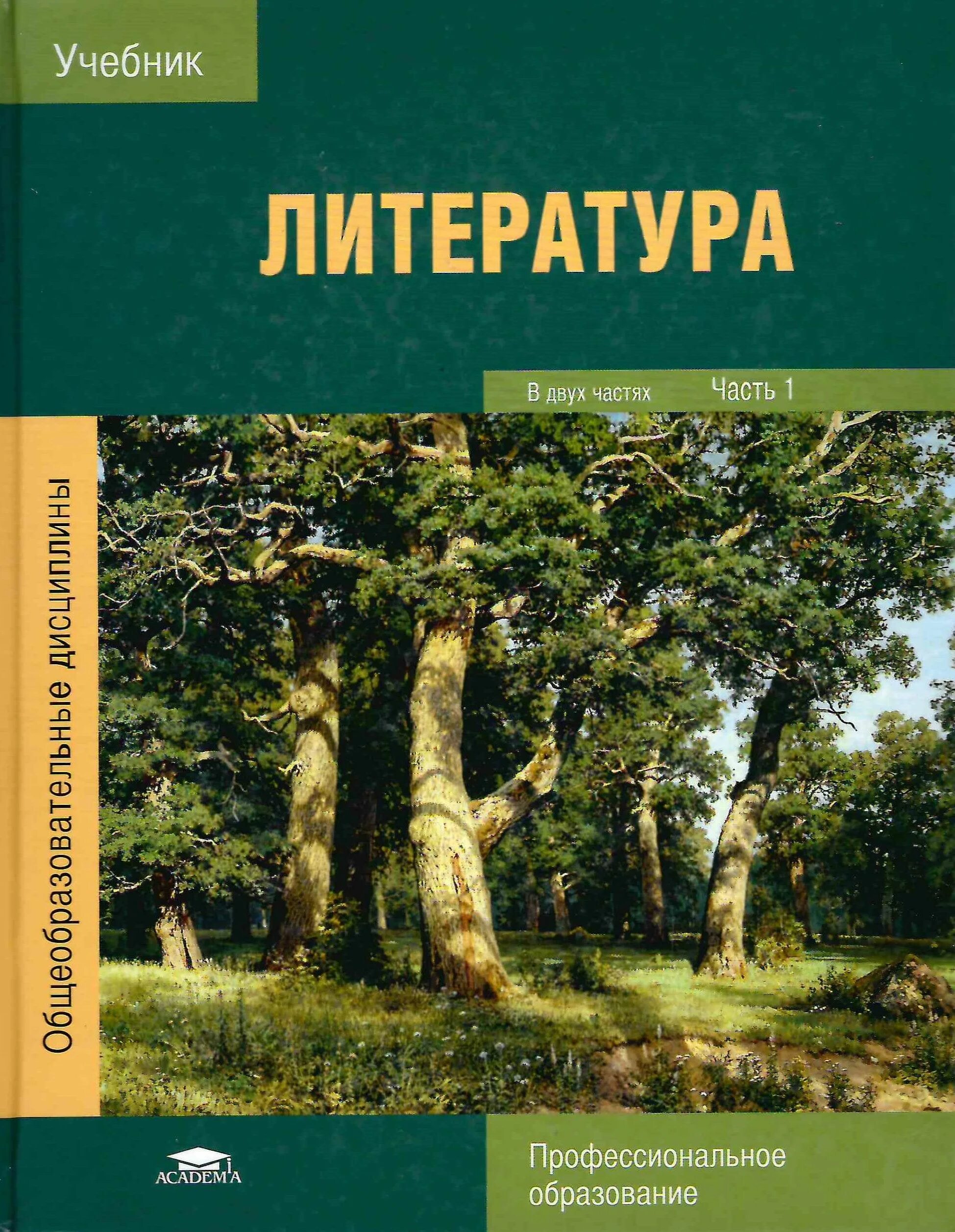 Используемая литература в проекте. Лекции по литературе. Проекты по литературе для спо. Проекты по литературе для спо. Интересные темы проектов по русскому языку.