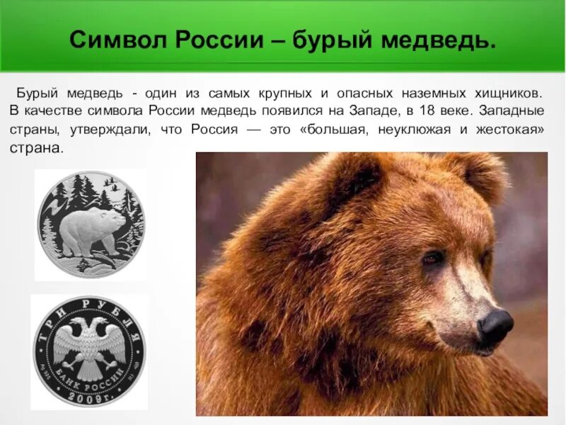 Что символизирует медведь. Символ медведя значение. День медведя в россии. Медведь символ россии. Что является символом медведя.