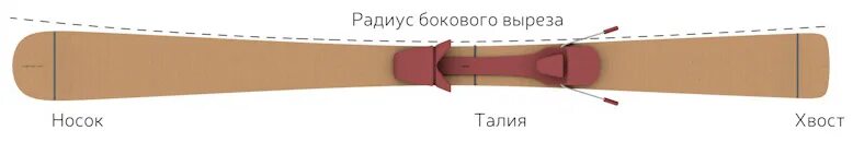 Радиус поворота лыж. Радиус бокового выреза горных лыж. радиус лыжи что это. боковой вырез сноуборда. радиус бокового выреза на сноуборде.