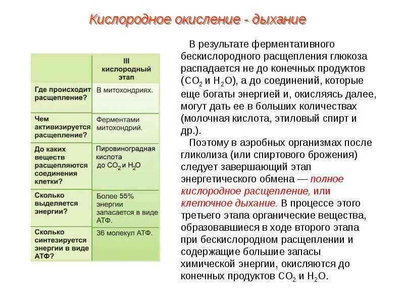 В результате окисления глюкозы образуется атф