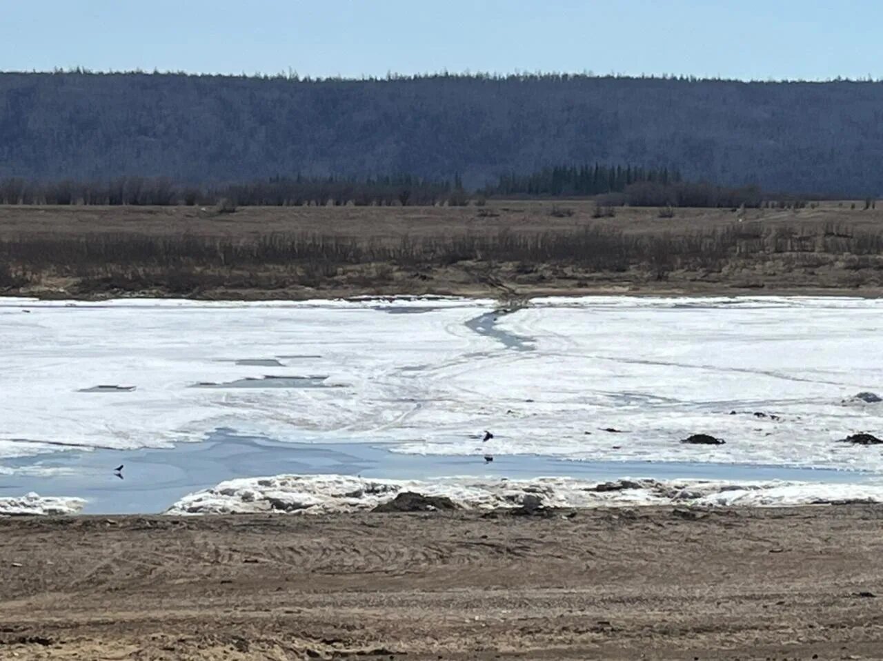 Вода спала в реке. Ледоход Лена 2022. Якутия Лена ледоход. Ледоход на реке Лена. Река Нюя Якутия.