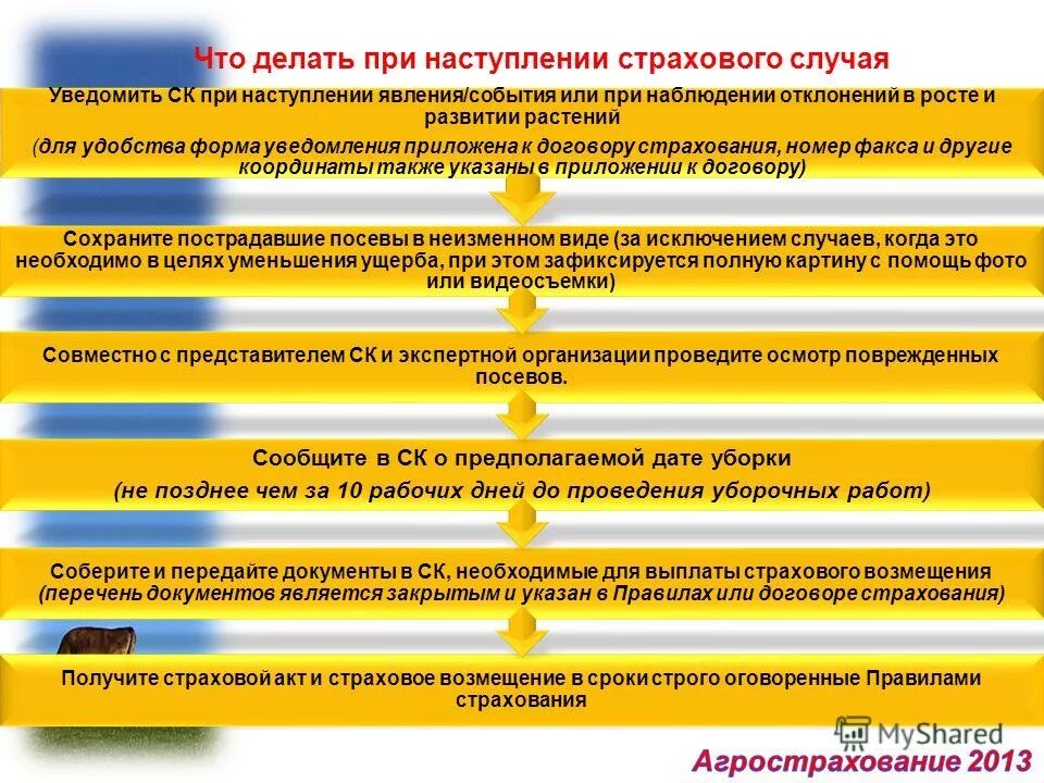 Документы при наступлении страхового случая. Что делать при наступлении страхового случая. Порядок действий при наступлении страхового случая. Алгоритм действий при наступлении страхового случая. Перечень документов при наступлении страхового случая.