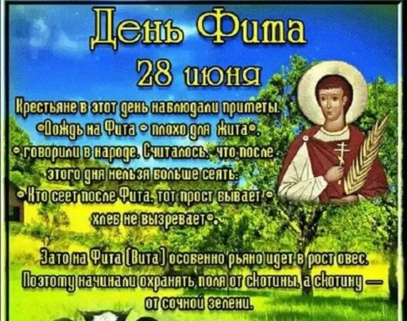 Весенние цветы. День фита 28 июня картинки с надписями. Народный праздник день фита. День фита 28 июня картинки с надписями. День фита картинки.