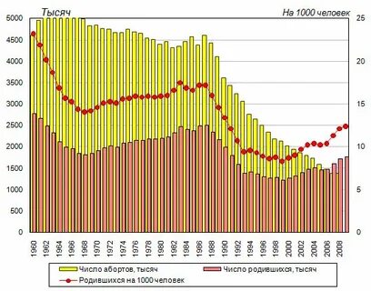 Сколько детенышей родилось в 2002 году