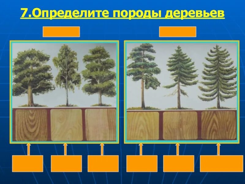 Изменение формы дерева