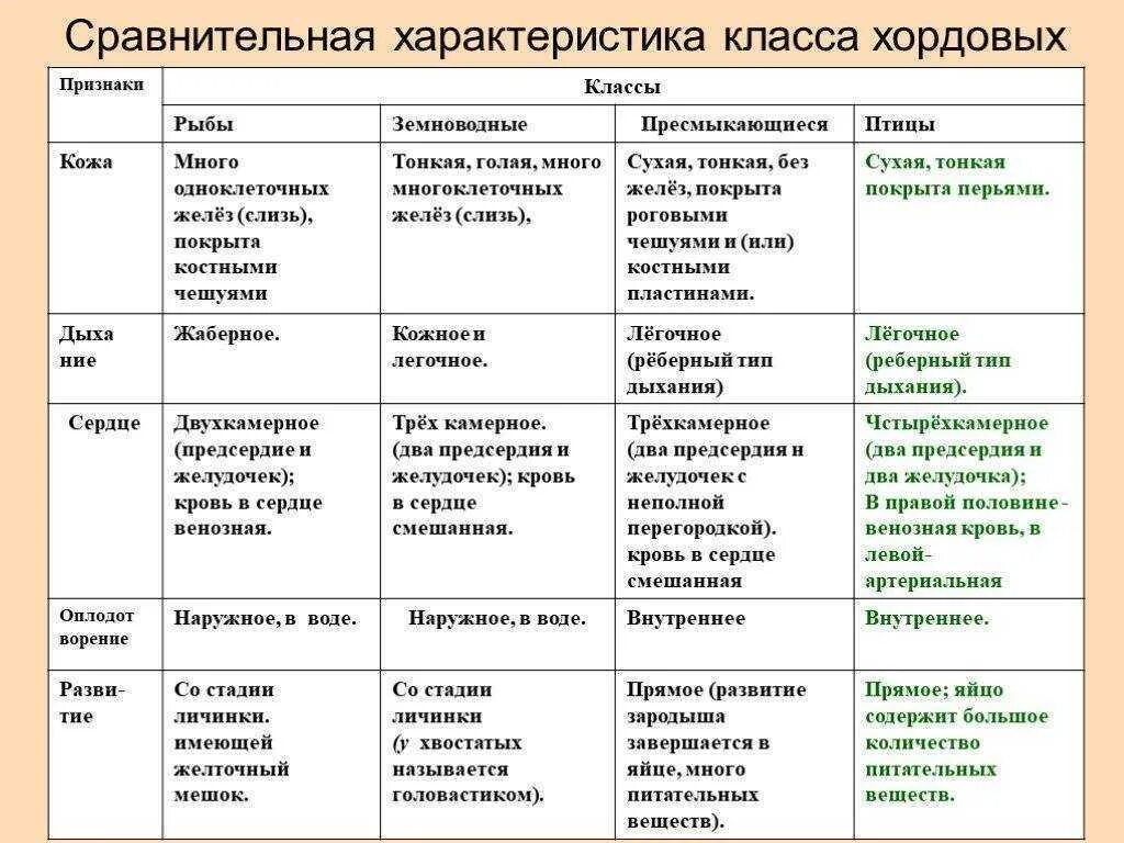 Какие особенности строения и образа жизни позволяют