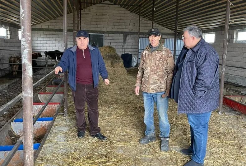 Фермерство в башне в одиночку 44 глава