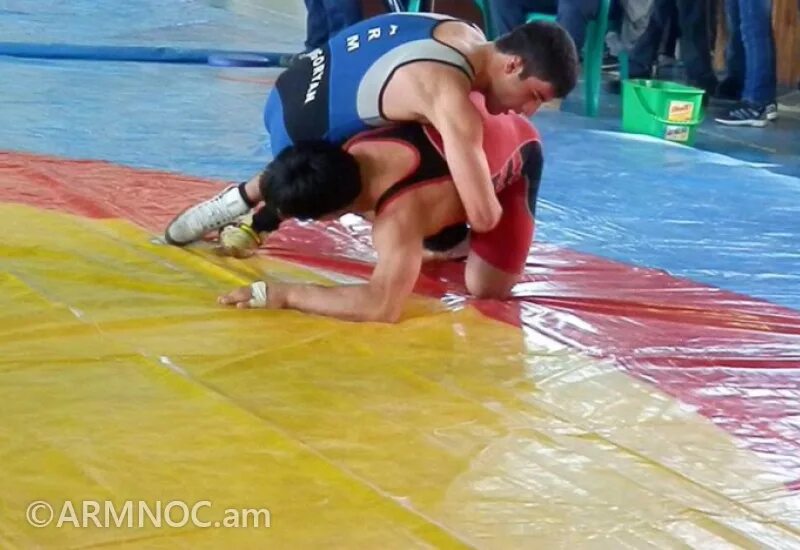 Вольная борьба фото. 4х кратный чемпион армении по борьбе. Лучшие борцы россии. Греко римская борьба европейский вид единоборств. Чемпион армении по борьбе.