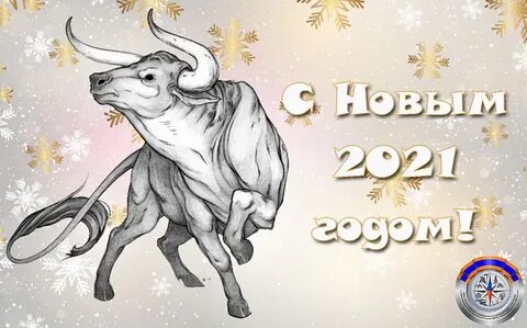 Год быка 20 20