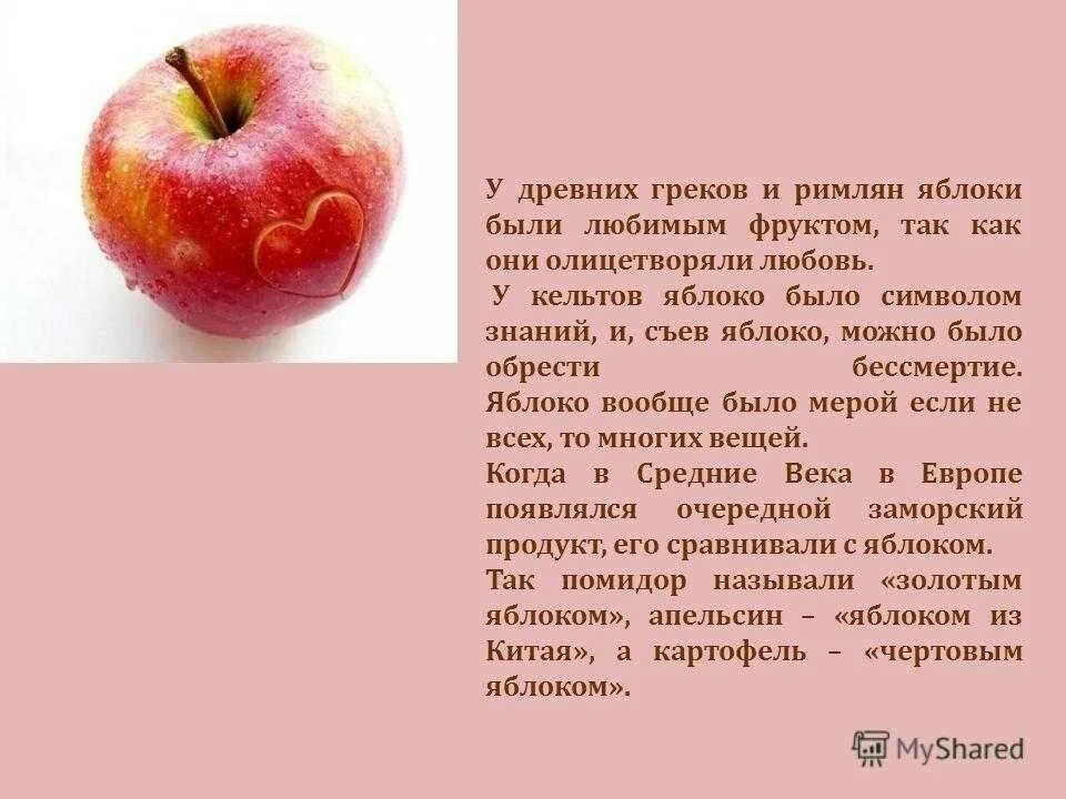 Жило было яблоко. Интересный рассказ про яблоню. Интересные факты о яблоне. Яблоко для презентации. Интересны сведения о яблони.