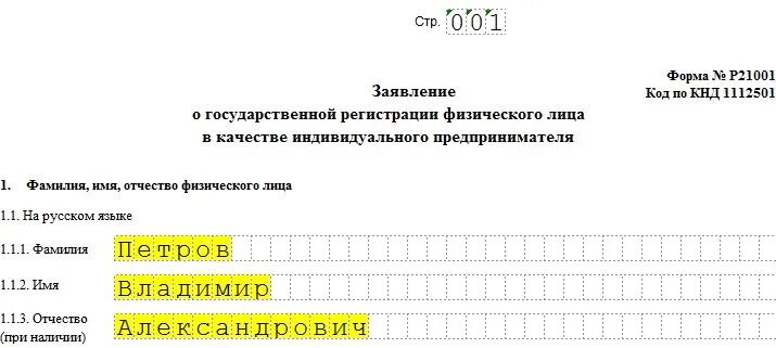 Форма для государственной регистрации индивидуального предпринимателя. Форма для государственной регистрации индивидуального предпринимателя