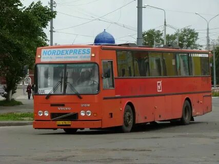 Автобус 144 плесково