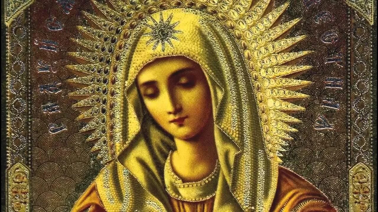 Акафист отрада и утешение богородице читать. Акафист божией матери утешительница. Икона богородицы «отрада» («утешение») ватопедская. Икона пресвятой богородицы ватопедская отрада утешение. Икона божией матери утешение ватопедская.