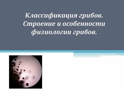 Микология систематика