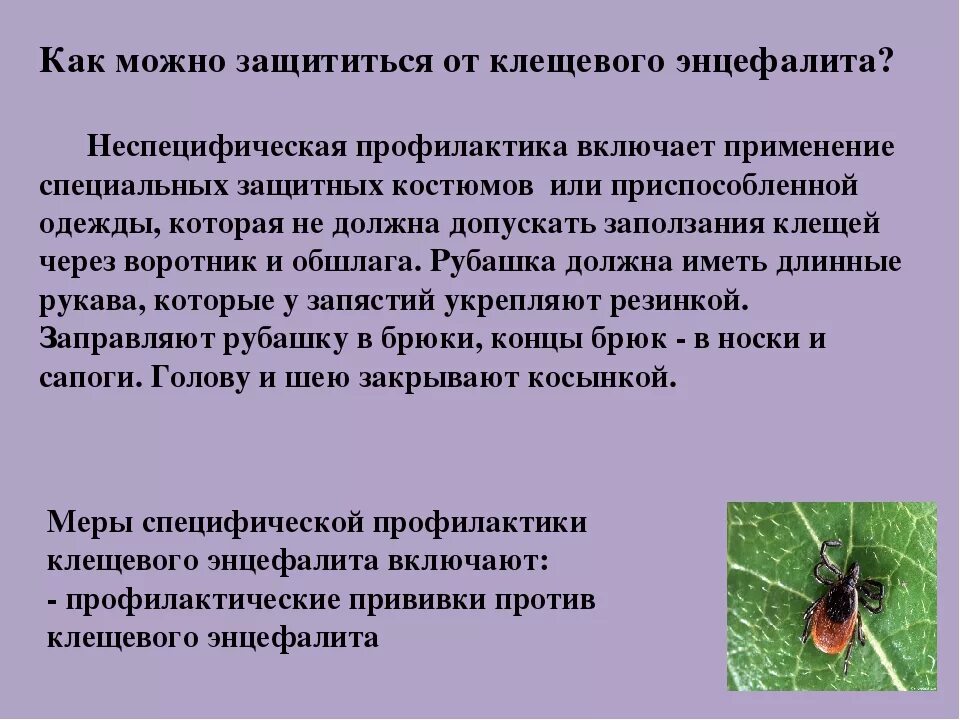 Заражение человека энцефалитом возможно при гигтест ответ. Не специфическая профилактика клещевого энцефалита. Сообщение профилактика клещевого энцефалита. Профилактика при клещевом энцефалите. О мерах профилактики клещевого вирусного энцефалита.