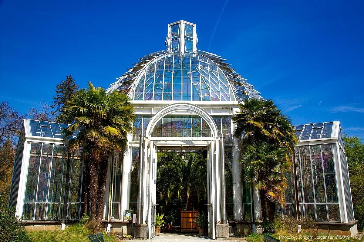 Ботанический сад Женевы Женева. Ботанический сад Цицина оранжерея. Ботанический сад Швейцария. Ботанический сад Базельского университета.