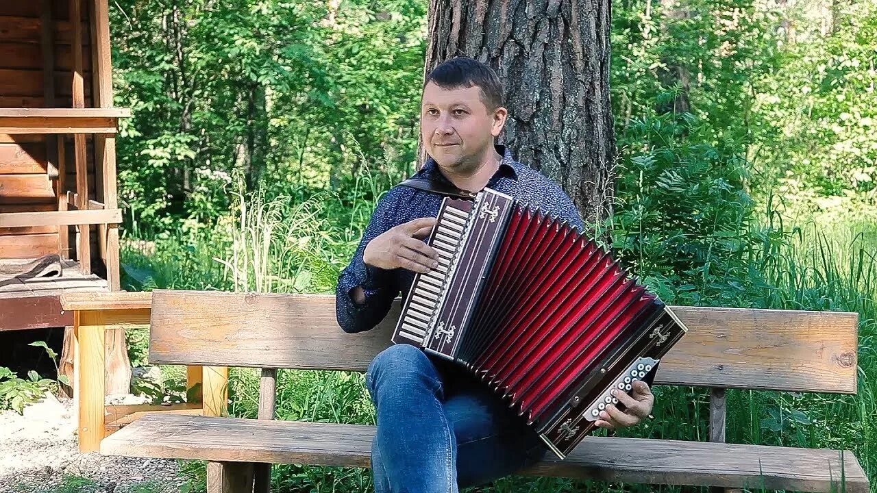 Гармонист ланин
