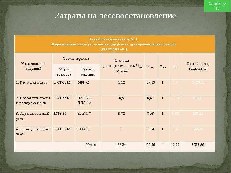 Правила лесовосстановления 1024. Затраты на лесовосстановление. Проект лесовосстановления. Лесовосстановление таблица. План лесовосстановления.