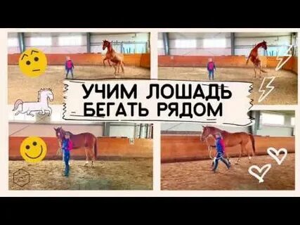 Почему лошадь бегает