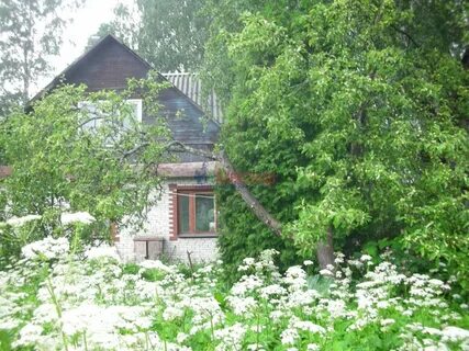 Дача в сосново ленинградская