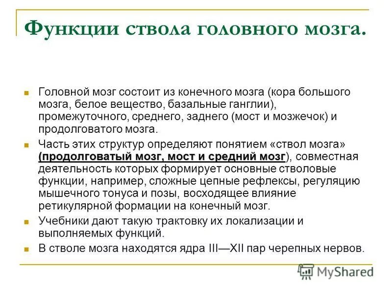 Какие функции выполняет ствол мозга. Ствол мозга функции. функции ствола мозга таблица. ядра ствола функции. функции ствола головного мозга кратко.